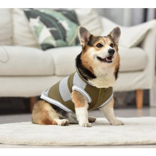 Pet Dog Clothes Comfortable Soft Thick Warm Dog Sweatshirts Fashion Autumn Hoodie Dog Coat for Small Medium Dog Teddy