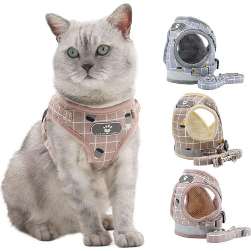 Dog Harness With Leash Summer Pet Adjustable Reflective Vest Walking Lead For Puppy Polyester Mesh Harness For Small Medium Dog