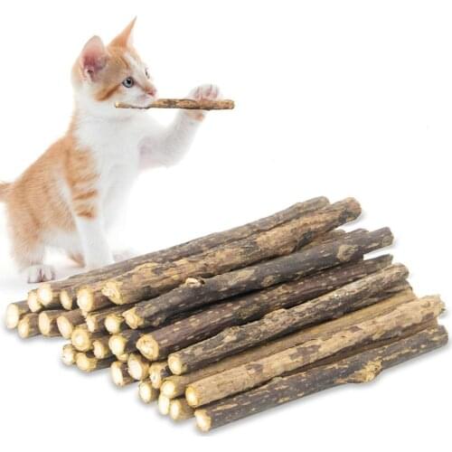 15pcs Natural Matatabi Cat Catnip Toy Kitten Molar Chew Stick Pet Cleaning Teeth Cat Treat Toy Actinidia Silvervine Pet Products