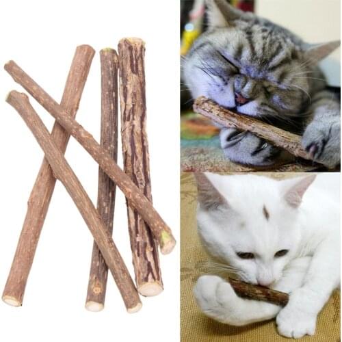 10pcs Pure Natural Catnip Pet Cat Toy Molar Toothpaste Branch Cleaning Teeth Silvervine Cat Snacks Sticks Pet Supplies