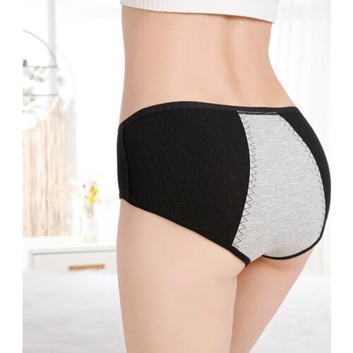 New Health Leak Proof Menstrual Period Panties Women Underwear Physiological Pants Cotton Ladies Lengthen Panties Female Briefs