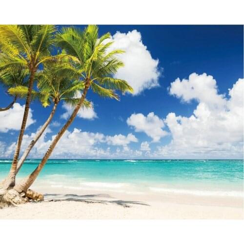 Blue Sky Hawaii Beach Palm Trees Backdrop Baby Shower Party Birthday Room Decor Photo Booth Studio Prop