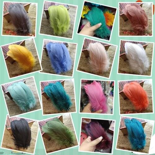 Wholesale 22 Color 20pcs Natural Goose Feathers 12-20cm/5-8 inches Christmas Decoration Clothing Shoes Hat Accessories
