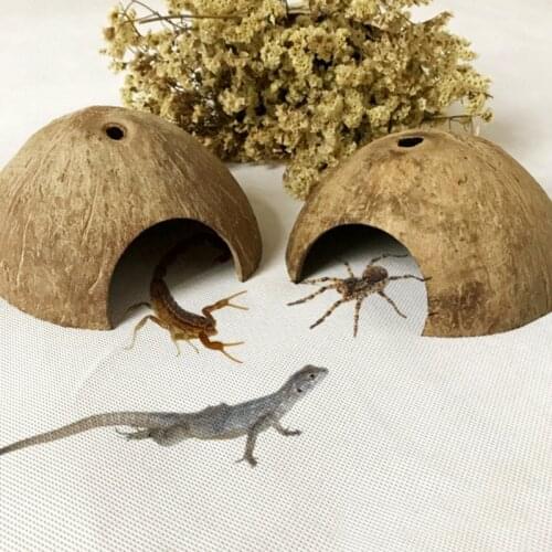 2021 New Reptile Hide Habitat Natural Coconut Shell Lizard Spider Small Animal Cave House