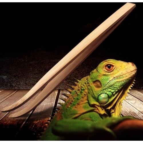 2018 NEW Bamboo Angled Reptile Feeding Tongs Tweezers 28cm Bamboo Eco-Friendly Feeding Tool Angled Reptile Feeding Tongs