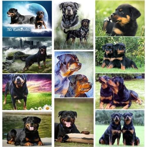 5d Diamond Embroidery Rottweiler Dog Diamond painting Cross Stitch cute pet diy Full Squre Round Rhinestone Home Accessories Z06