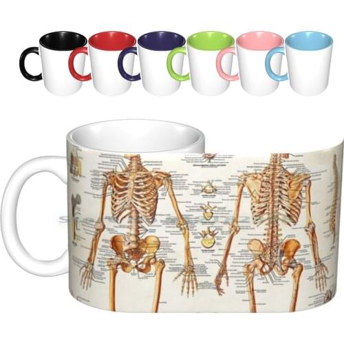 Antique Anatomy Ceramic Mugs Coffee Cups Milk Tea Mug Anatomy Human Anatomy Student Vintage Anatomy Art Skeleton Human Skeleton