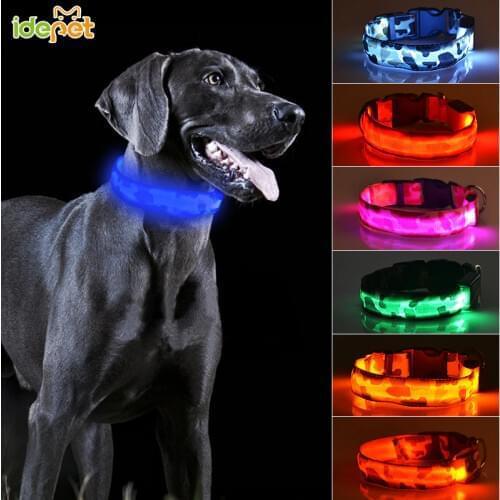 IDEPET Lighting