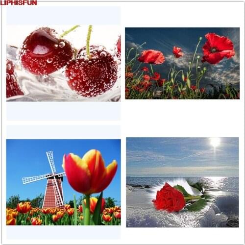 LIPHISFUN Cross Stitch Embroidery Diamond Painting Full Drill Home Decor Square/round red rose flower scenery Cherry