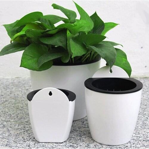 Modern Design Home Wall Hanging Design Flower Pot Round Shape Resin Hydroponics Chlorophytum Potted Flower Pots Drop