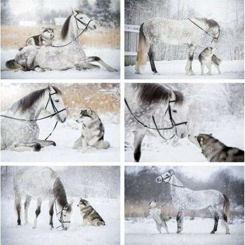 Huacan 5D Diamond Art Painting Dog Pictures Of Rhinestones Diy Diamond Embroidery Sale Horse Mosaic Decor For Home