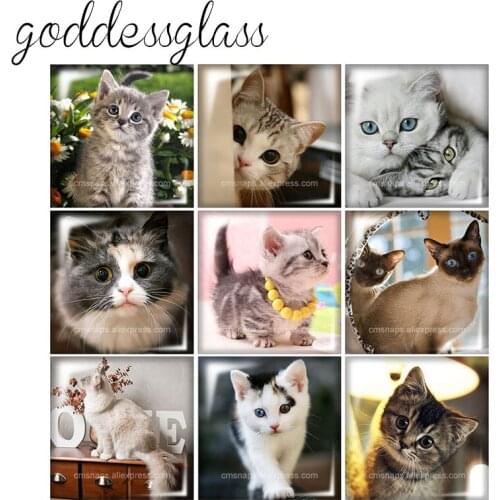 Cats Dog Tiger Elephant Panda Wolf 10pcs mixed 12mm/20mm/25mm/30mm Square photo glass cabochon demo flat back Making findings