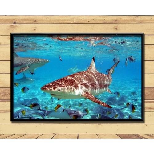 Shark Huge Strong Marine Animal (28) Wall Posters Prints Silk Art Painting For Home Wall Bedroom Decor