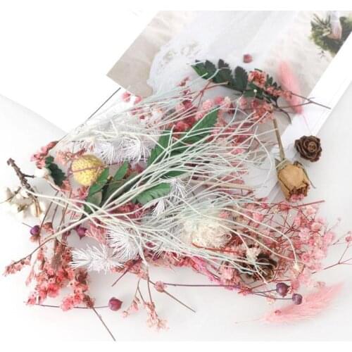 Random 1box More Than 8 Style Mix Flower Pressed Dried Dry Leaves Plants For Nail Art Decors Jewelry Making Diy Accessories