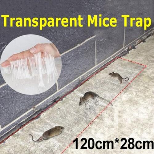 TPXCKz Rodent Traps
