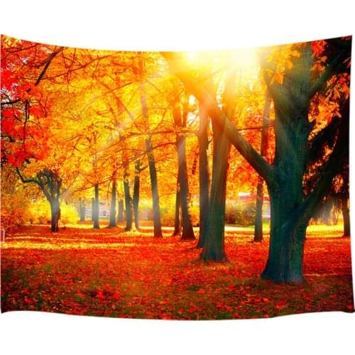 Natural Scenery of Trees and Leaves in Foggy Jungle Sunlight of Autumn Park,Wall Art Hanging
