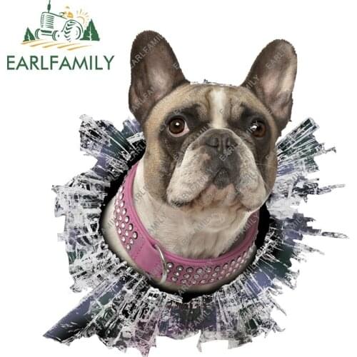 EARLFAMILY 13cm x 12.2cm 3D Bulldog Broken Glass Car Decal Cute Bull Dog Car Sticker Rear Windshield Crack Stickers