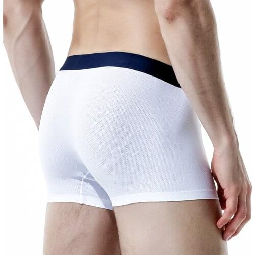 Sexy Underwear Men Boxers Modal Ice Silk Panties Man Breathable Pouch Underpants Male Boxershorts Ropa Interior Homme Plus Size