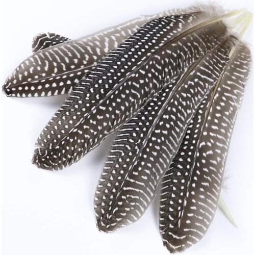 10 Pcs/Bag Spotted Pheasant Feathers for Crafts Handwork Decorative Natural Pearl Chicken Plumes Jewelry Decoration 6 Color