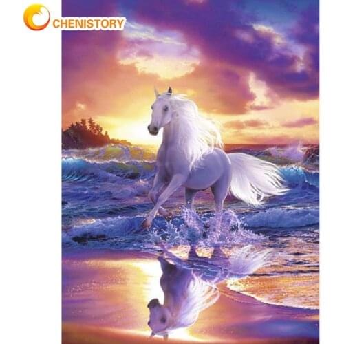 CHENISTORY Fly Horse On Ocean Animal Painting By Numbers Kits For Beginner 40x50cm Framed Living Room Decor Wall Art Diy Gifts