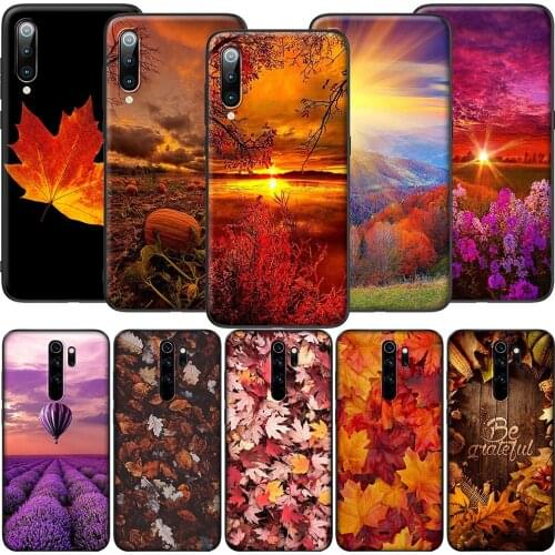 Lavaza Bumpers For Phones