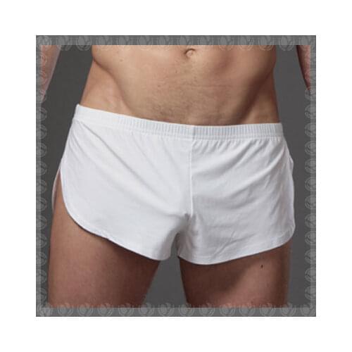 Sexy Mens Boxer Shorts Ventilate Underpants Men Sexy Boxers Male Panties Men Sexy Sheer Underwear Gay Wear