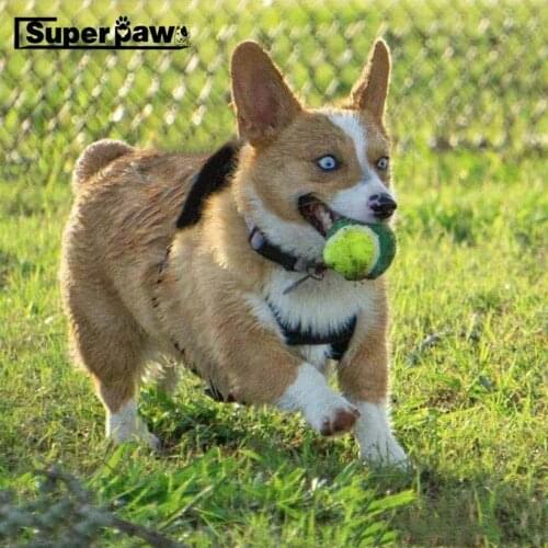 New Style Pet Dog PU Leather Backpack Bag Adjustable Cute Bags For Small Medium Dogs Schnauzer French Bulldog Dropshipping LYB03