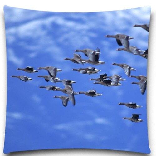 The northern goose flies south 2D print creative Pillow case Square cotton polyester cushion cover 5 size 9 style