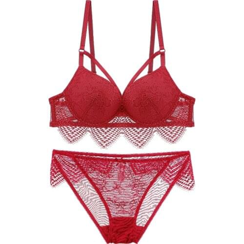 Bra and Panties Set Push Up Sexy Lingerie Triangle Lace Trim Strappy Padded Cup Floral Underwired Lingerie Set For Women