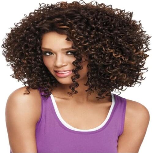 Afro Kinky Curly Synthetic Wigs For Women Black Brown Blonde Curly Wigs Average Rose Net Synthetic Wigs 16 inches Heat Resistant