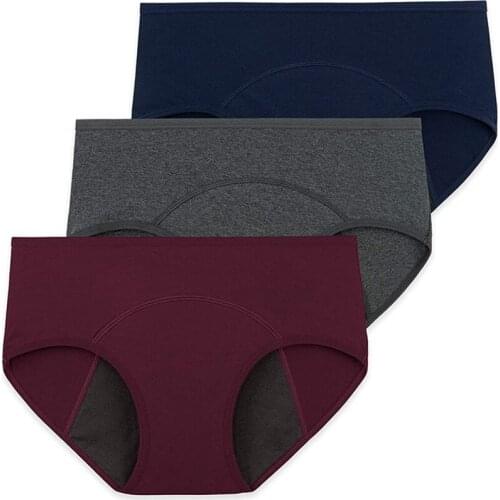 Womens Menstrual Period Panties, Leak-proof Menstrual Panties, Postpartum Panties, Restore Low-waist Panties