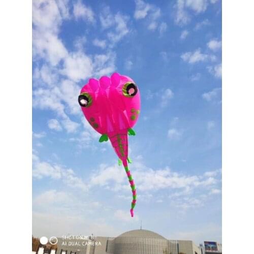 3d soft trolls toys windsocks large beach fun ripstop nylon fabric inflatable cartoon giant kite wholesalers outdoor toys adults