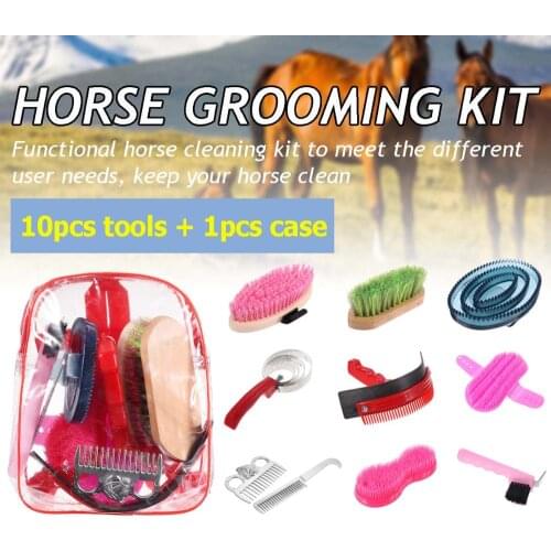 10pcs Horse Care Grooming Equestrian Kit Scraper Brush Comb Hoof Pick Carry Case