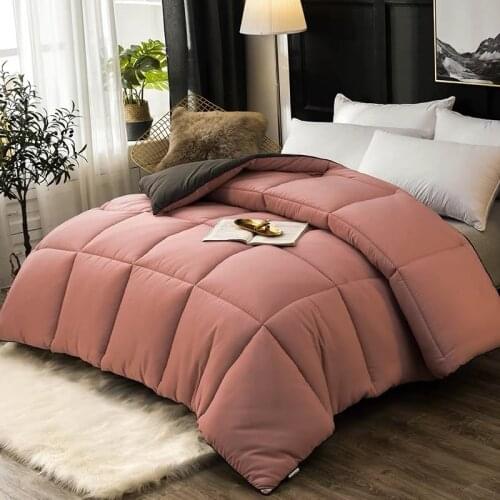 Four seasons quilt winter thickened warm cotton quilt double air conditioning core duvet quilt single student autumn comforter