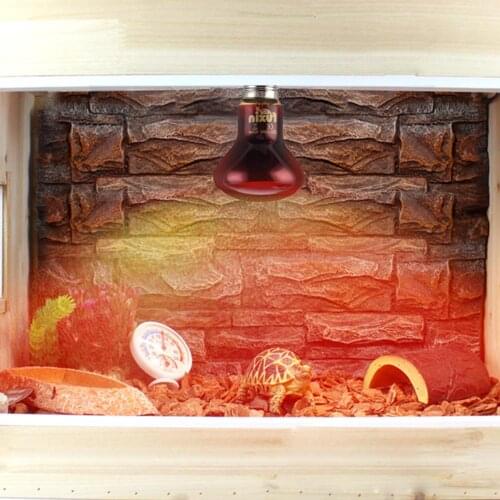 High Quality Amphibian Bird Snake Reptile E27 Red Light Night Heating Lamp Heating And Insulation For Lizards Turtles Accepted