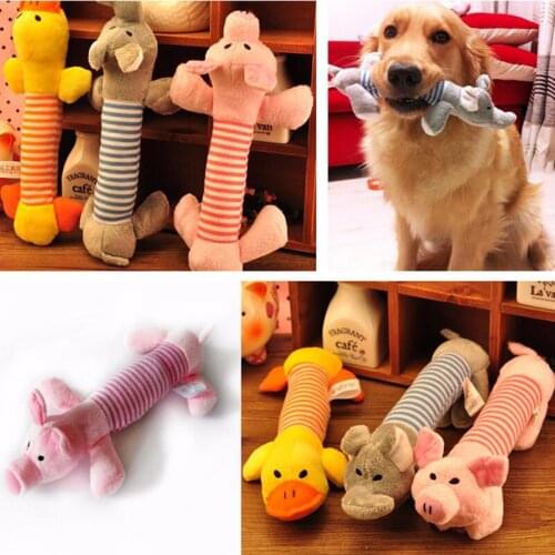 BOYS STATION Products For Dogs