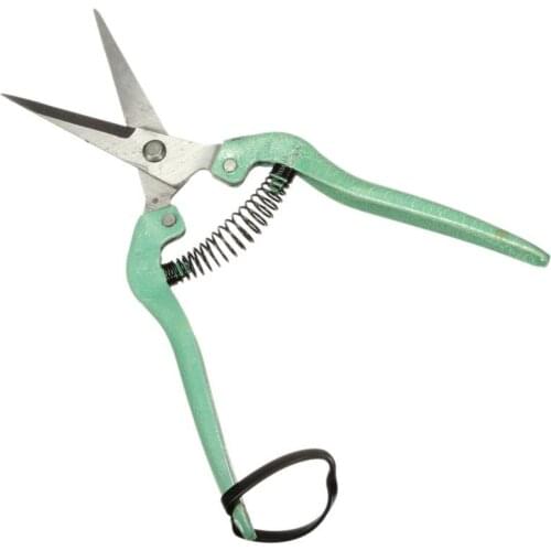 19.5cm Straight Shrub Orchard tool Plant leaf trimmer Garden Scissor pruner blade fruit flower
