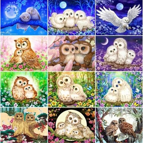 EverShine 5D Diamond Painting Full Drill Owl Beaded Mosaic Diamond Embroidery Animal DIY Picture Of Rhinestones Decor For Home