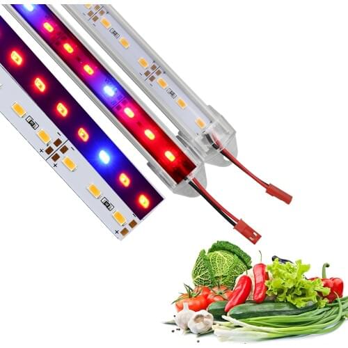 Phytolamps For Plants RAYWAY China