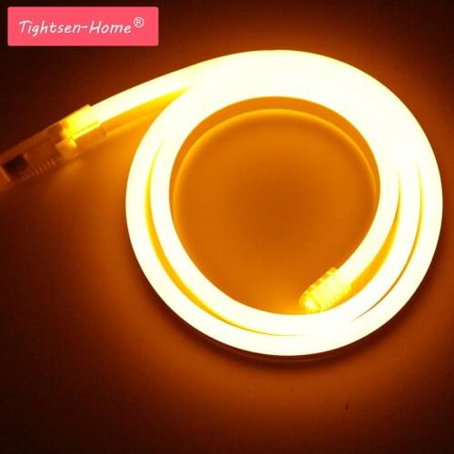 12V Led Neon Light strip Waterproof flex LED rope strip 5050 2835 120LEDs/m Yellow/White/warm white/blue/green/purple Lamp Clip