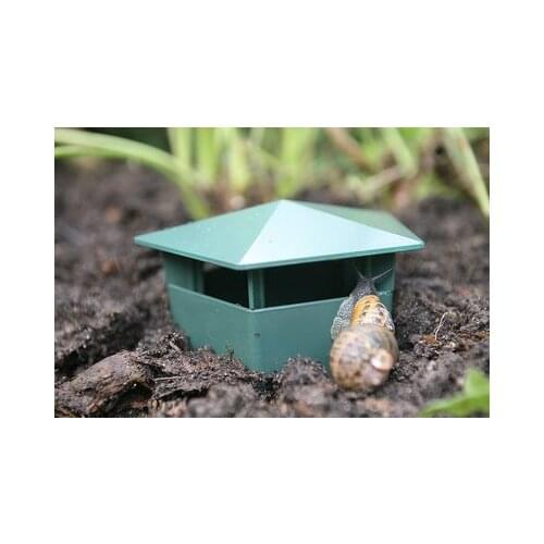 Beer slugs and snail traps environmentally friendly catching snails is safe for children and pets snail garden environment