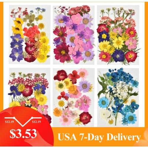 Small DIY Dried Flowers Resin Mold Fillings UV Expoxy Flower for Nail Art Pressed Flowers for Home Decor Handicraft Scrapbooking