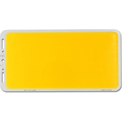 100W LED Panel Super Bright 24V 12V COB Light Board for Indoor Outdoor Lighting Blue Warm Cool White Color Waterproof LED Lamp