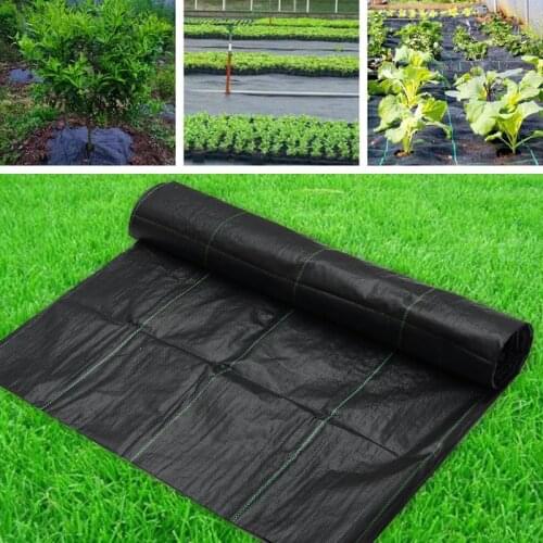 1M Wide 5m Length Agricultural Permeable Weeding Cloth Garden Anti Grass Cloth Greenhouse Weed Control Fabric Customize Size