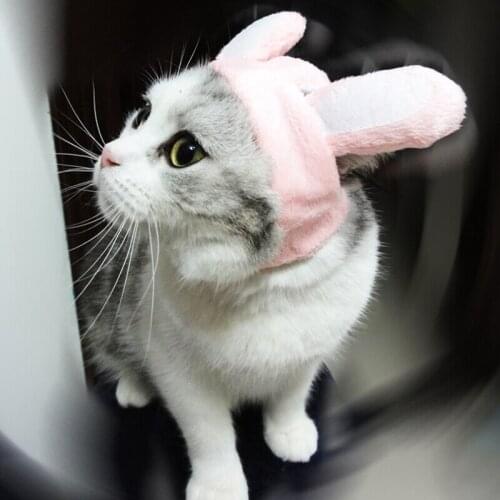 Big rabbit ear pet Cat Dog Hats cape Halloween dog costume outfits dog hat headwear Kitten hair Grooming accessories decoration