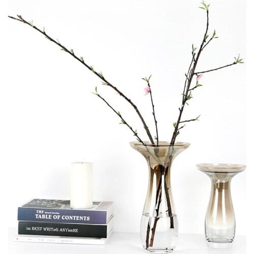 Nordic Style Vase Hydroponics Transparent Glass Vases Tabletop Living Room Decoration Hogar Moderno Flower Pot Ваза Для Цветов