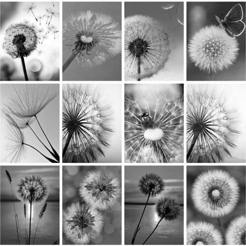 HUACAN 5D DIY Diamond Painting Black And White Pictures Of Rhinestones Diamond Embroidery Sale Dandelion Mosaic Decortion