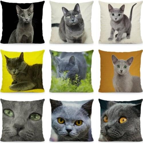 Russian Blue Cat Pattern Cushion Cover 45x45cm Animal Print Home Decorative Pillow Case DWM021