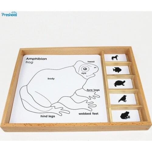 Montessori Kids Toy Baby Montessori Animal Puzzle Activity Set Learning Educational Preschool Training Brinquedos Juguets
