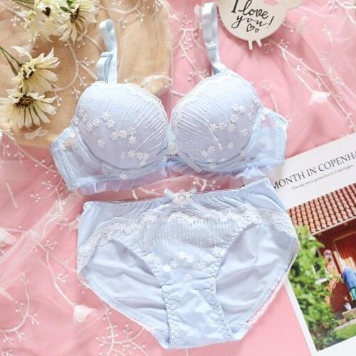 Small Fresh Sexy Lolita Girl Snowflake Embroidery Lace Trim Bra & Brief Set Japanese Womens Push Up Underwire Underwear Set